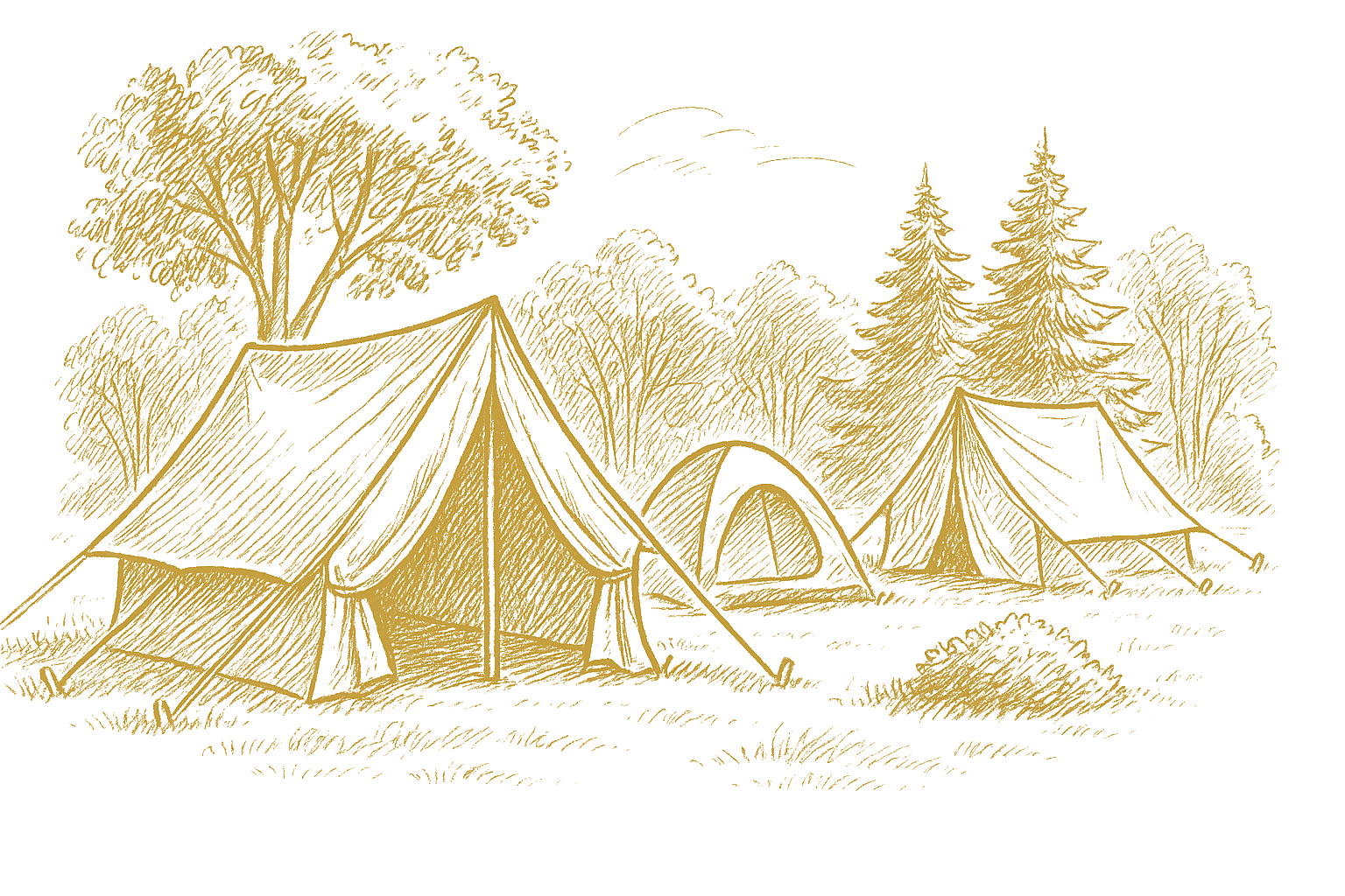 Kemp v Pivovaru Kocour